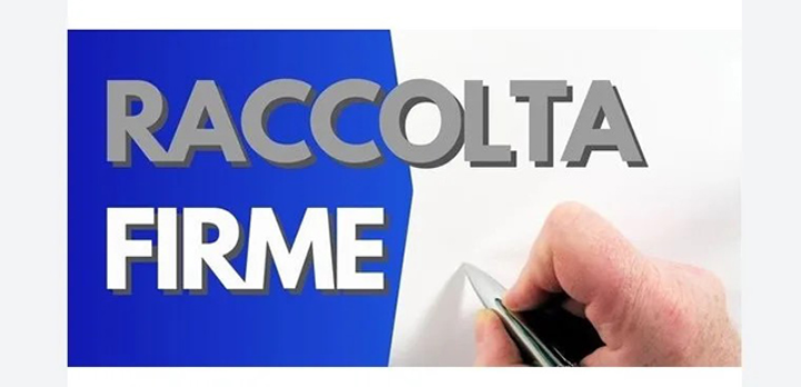 Immagine anteprima