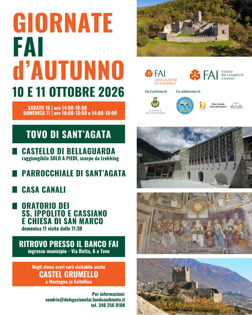 Immagine anteprima